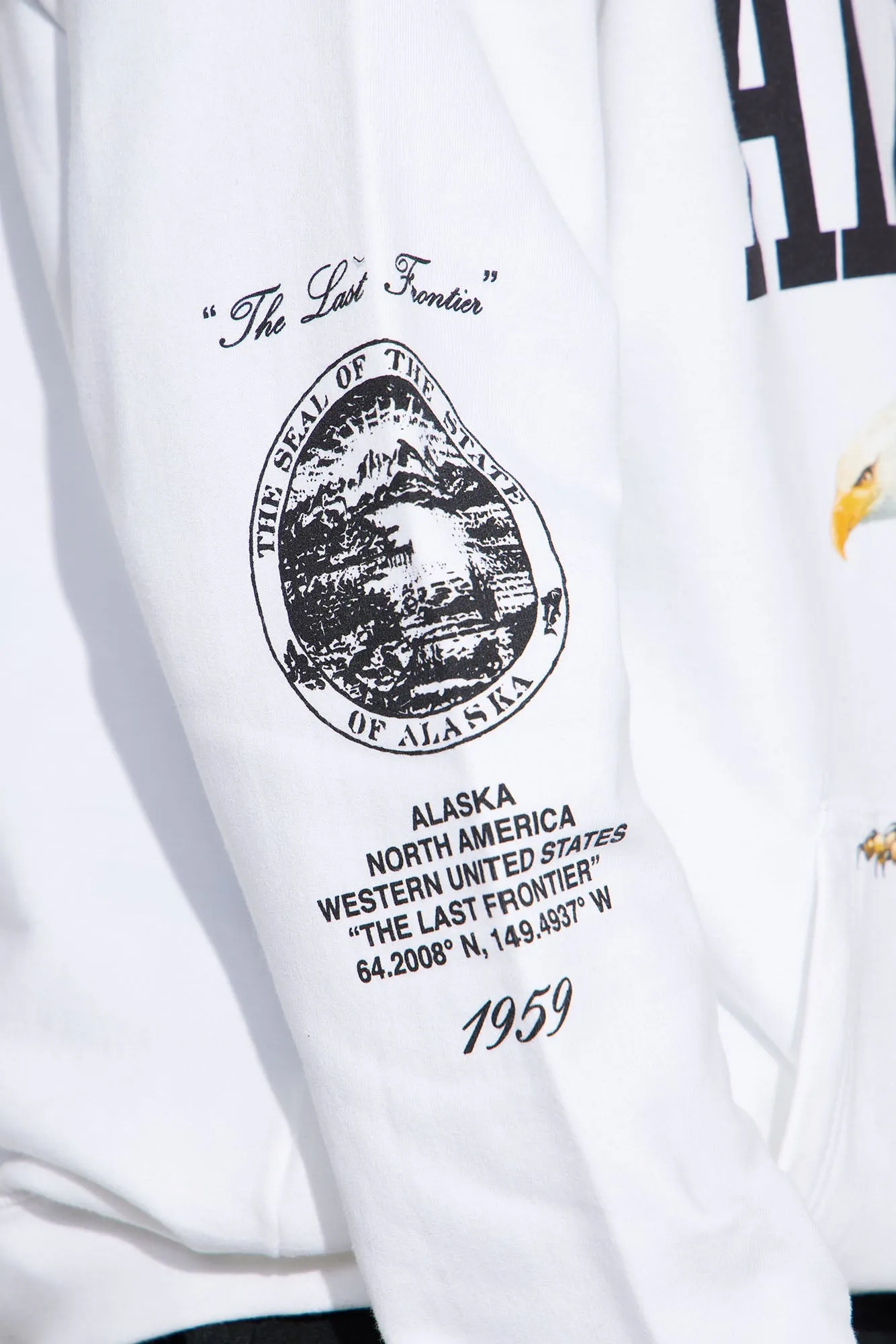 Alaska Hoodie - White