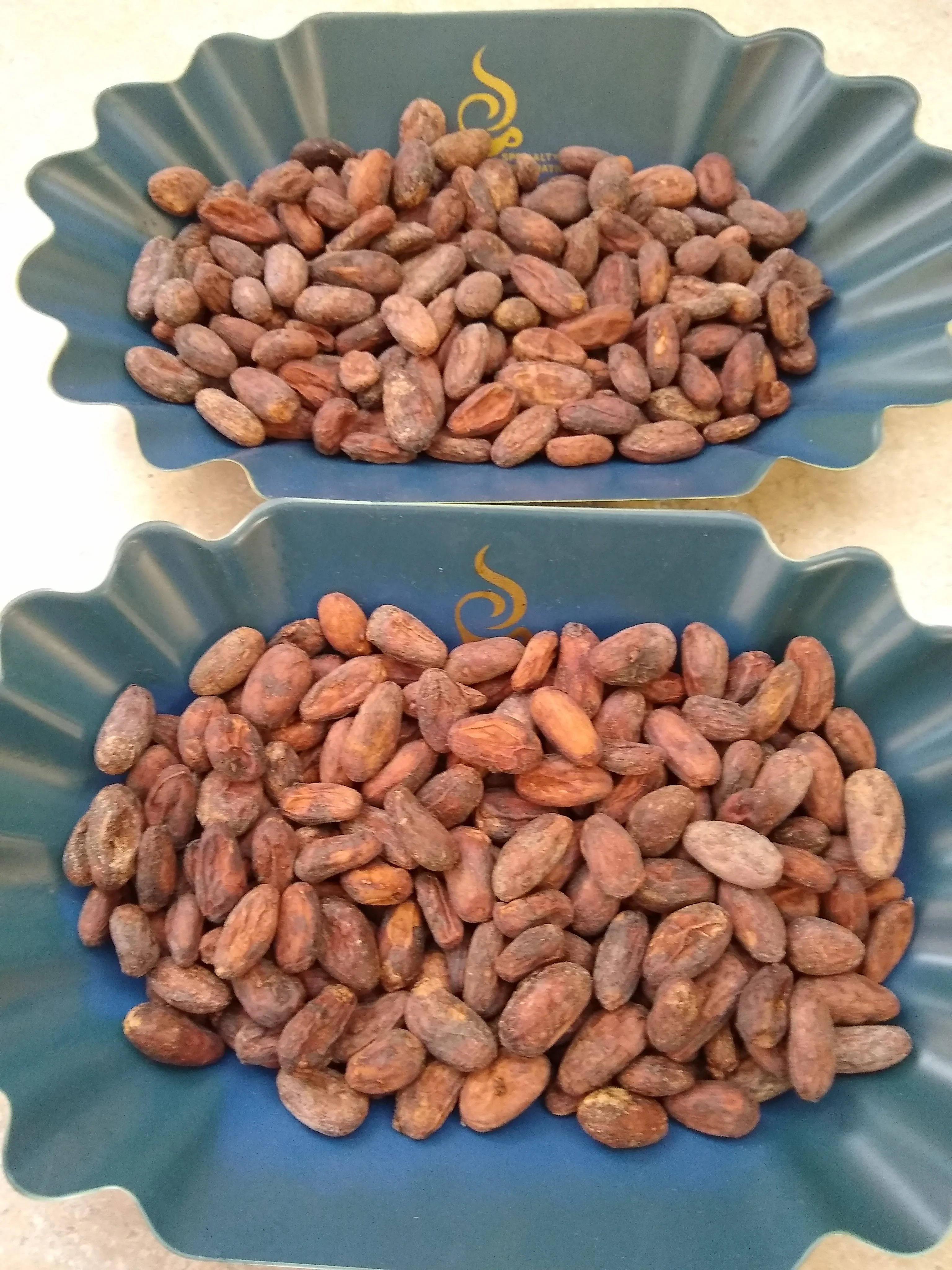Bolivia Heirloom (Boliviano) Certified-Organic Unroasted Cacao Beans. Available only in NJ and MA. NEW CROP!