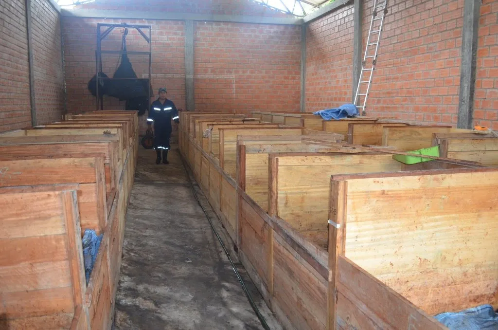 Bolivia Heirloom (Boliviano) Certified-Organic Unroasted Cacao Beans. Available only in NJ and MA. NEW CROP!