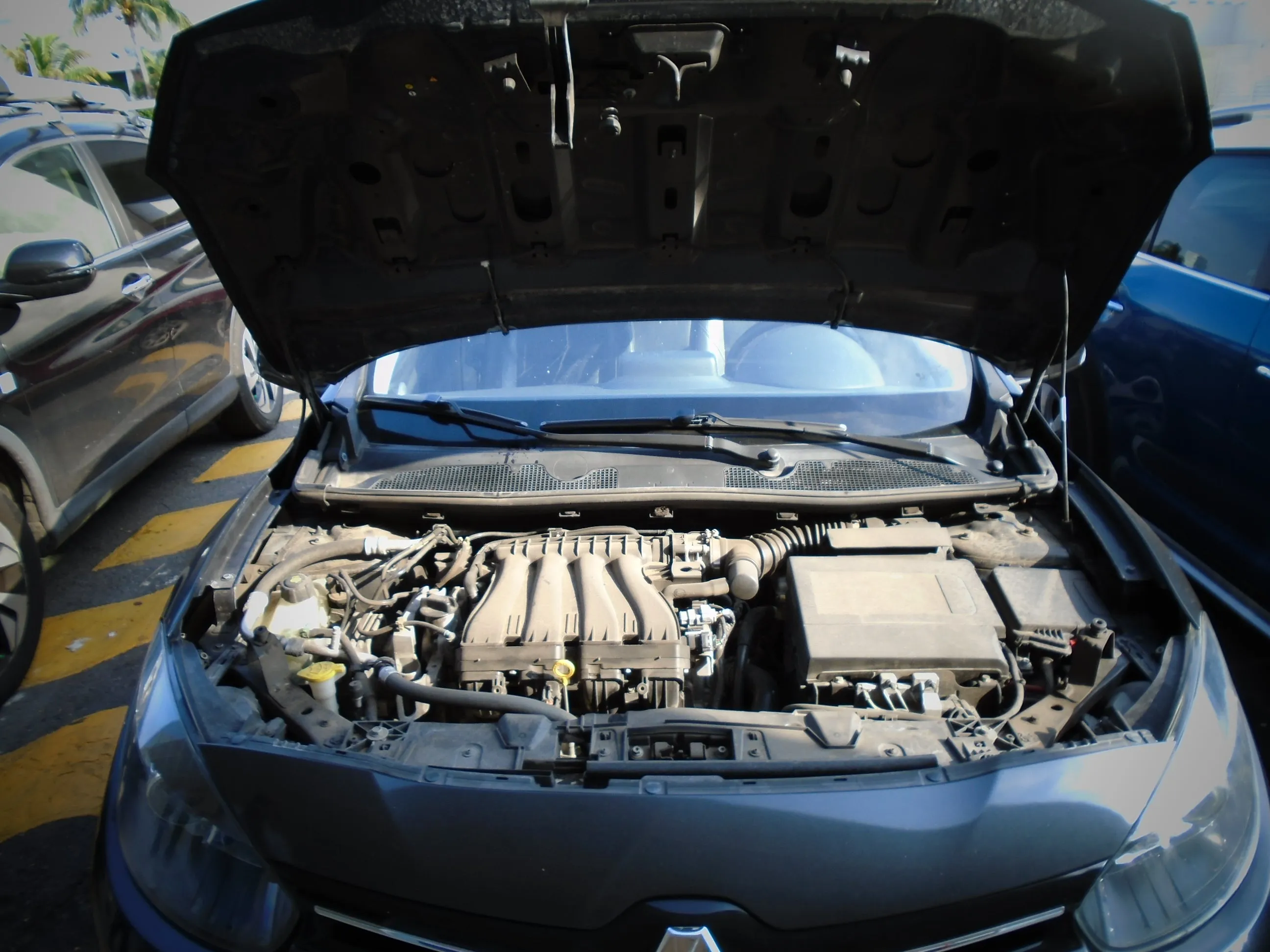 RENAULT, FLUENCE, PRIVILEGE